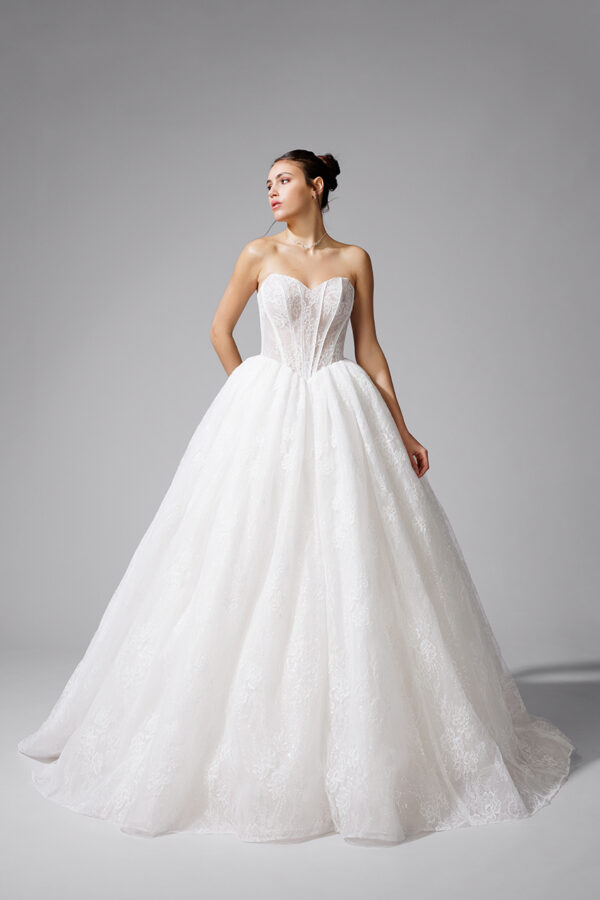 BEL22731 1 copie
